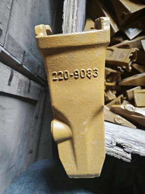 Επικεφαλής οδοντοπαραγωγός